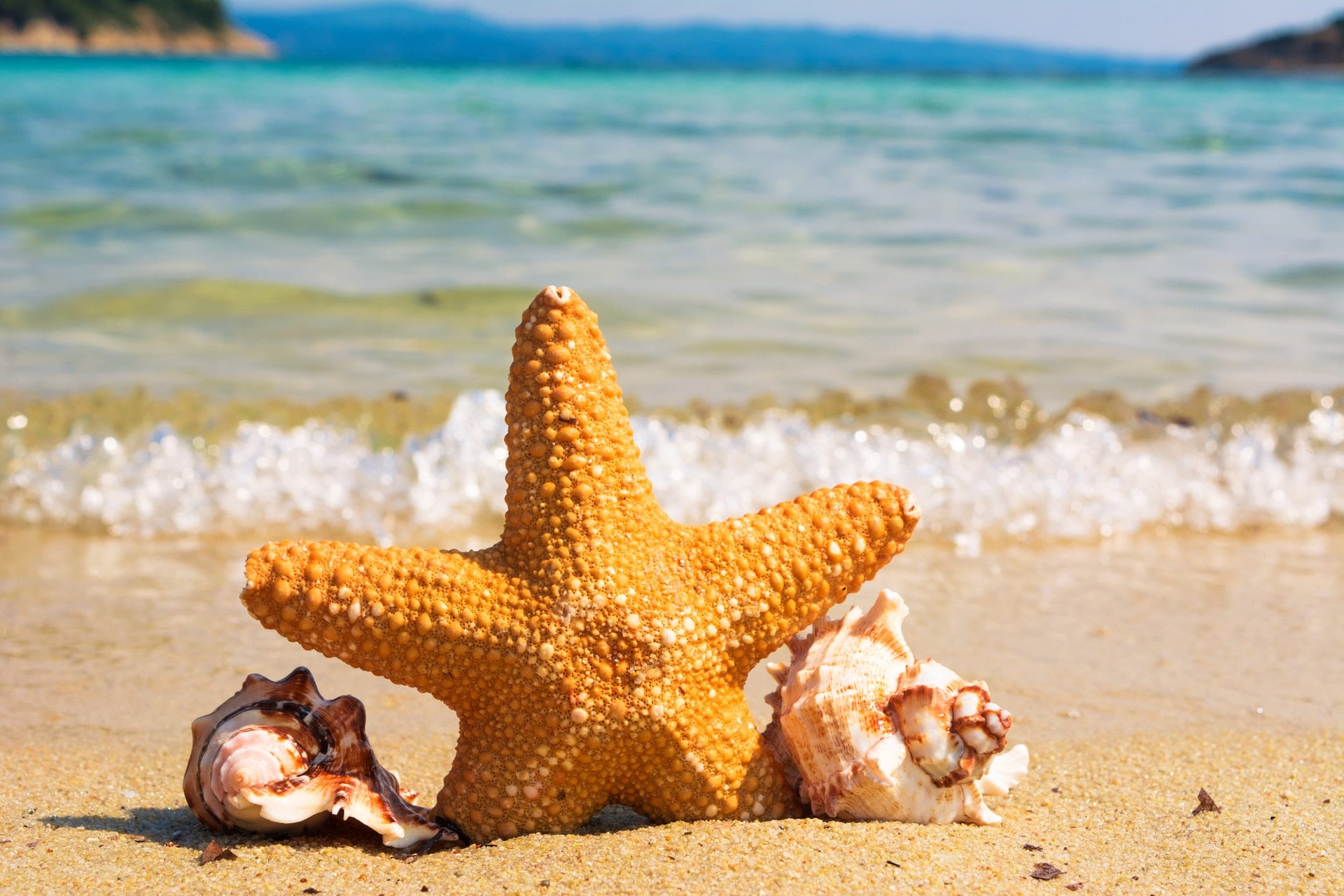 Summertime Marketing is Summertime FUN!