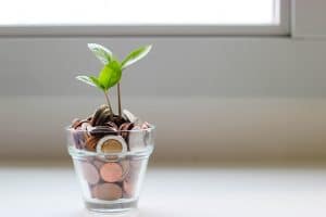 Tips on Emergency Savings Accounts Coins in a plant potter